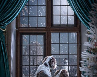 Digital background | Digital backdrop | A Christmas Window | Holiday Window | Window digital background| Snowman | Snow