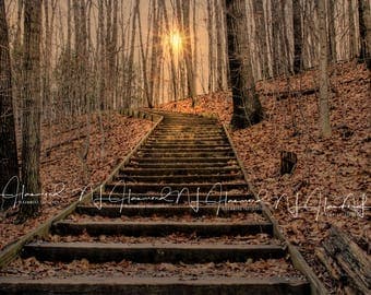 Fall/Autumn Digital background/backdrop stairs, woods, leaves, trees, sunset, sunflare photoshop digital download