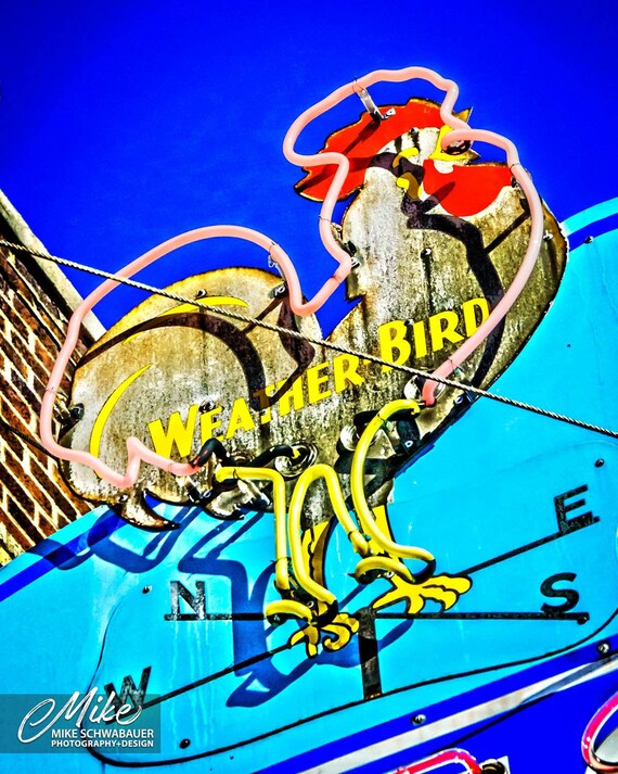 Dryer�s Shoes 3 Columbia MO Photograph 8 x