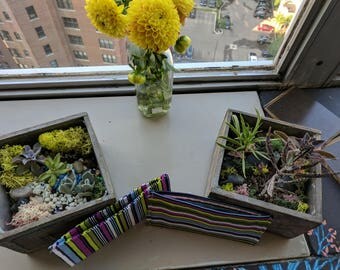 Budget Envelope/ Wallet (twin pack)