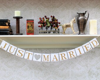JUST MARRIED SIGNS, Gold and Silver wedding colors, Wedding photos, Get away Car Signs