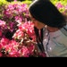 asianprincesa