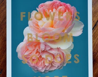 Floral art print - 'Johnson Rose'