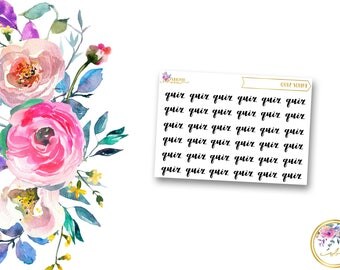 Sale 50% off QUIZ Script // Planner Stickers for Erin Condren Life Planner