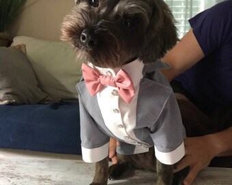 Grey dog tuxedo with pink bow tie Custom made dog wedding attire Evening dog outfit Swallow-tailed coat for dog Birthday dog costume