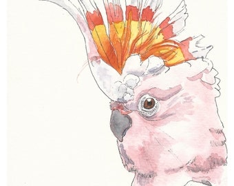 Pink cockatoo print | Major Mitchell print | gift for little girl |Girl room wall decor | Wall art print | watercolour wall art | bird print