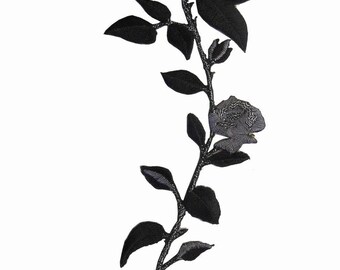 DEJ-WB5CM1646TE BLACK FLOWER APPLIQUE CARDIAGN main image 1