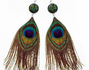dangle earrings peacock feathers