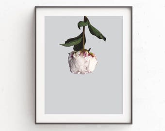 Flower Art Print, Flower Art, Large Poster Art, Minimalist, Flower Wall Print, Flower Wall Poster