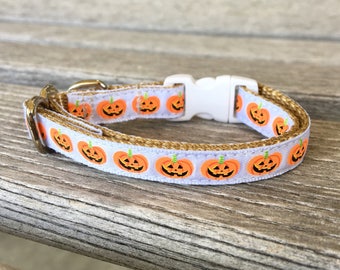 Little Pumpkin Cat Collar, Jack O Lantern Cat Collar, Kitten Collar Halloween, Kitty Collar White
