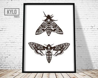 Death's Head Moth Print, Butterfly Wall Art, Moth Printable Art, Death Head Moth Illustration, Minimalist Poster, Silence of the Lambs Print