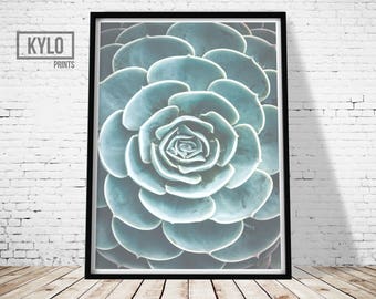 Cactus Print, Printable Art, Photography Print, Wall Art, Home Decor, Cactus Art, Instant Download, Cactus Printable, Photography Art, Gift