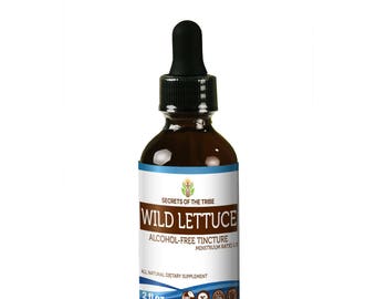 Wild Lettuce Alcohol FREE Liquid Extract, Organic Wild Lettuce (Lactuca virosa) Dried Herb