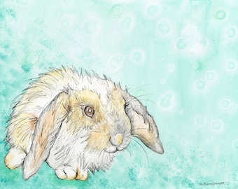 Lop Eared Rabbit (Giclee Print)