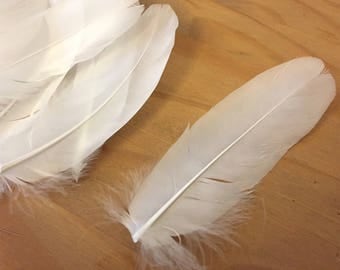 Swan feather | Etsy