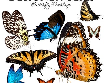 Designer Gems Overlays - BUTTERFLY OVERLAYS - (8) Photoshop .png files - Digital Overlays For Your Photos and Quick Pages.
