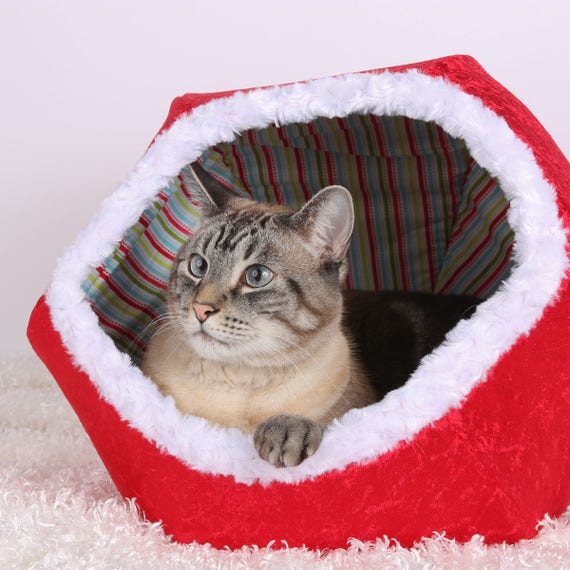 Red Velvet Christmas cat bed with white fur trim Pet Gift