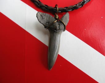 Shark Tooth Necklace, Extinct Mackerel Shark fossil, 18" Braided leather, Bronze plated wire wrap