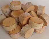 Birch Log Slices