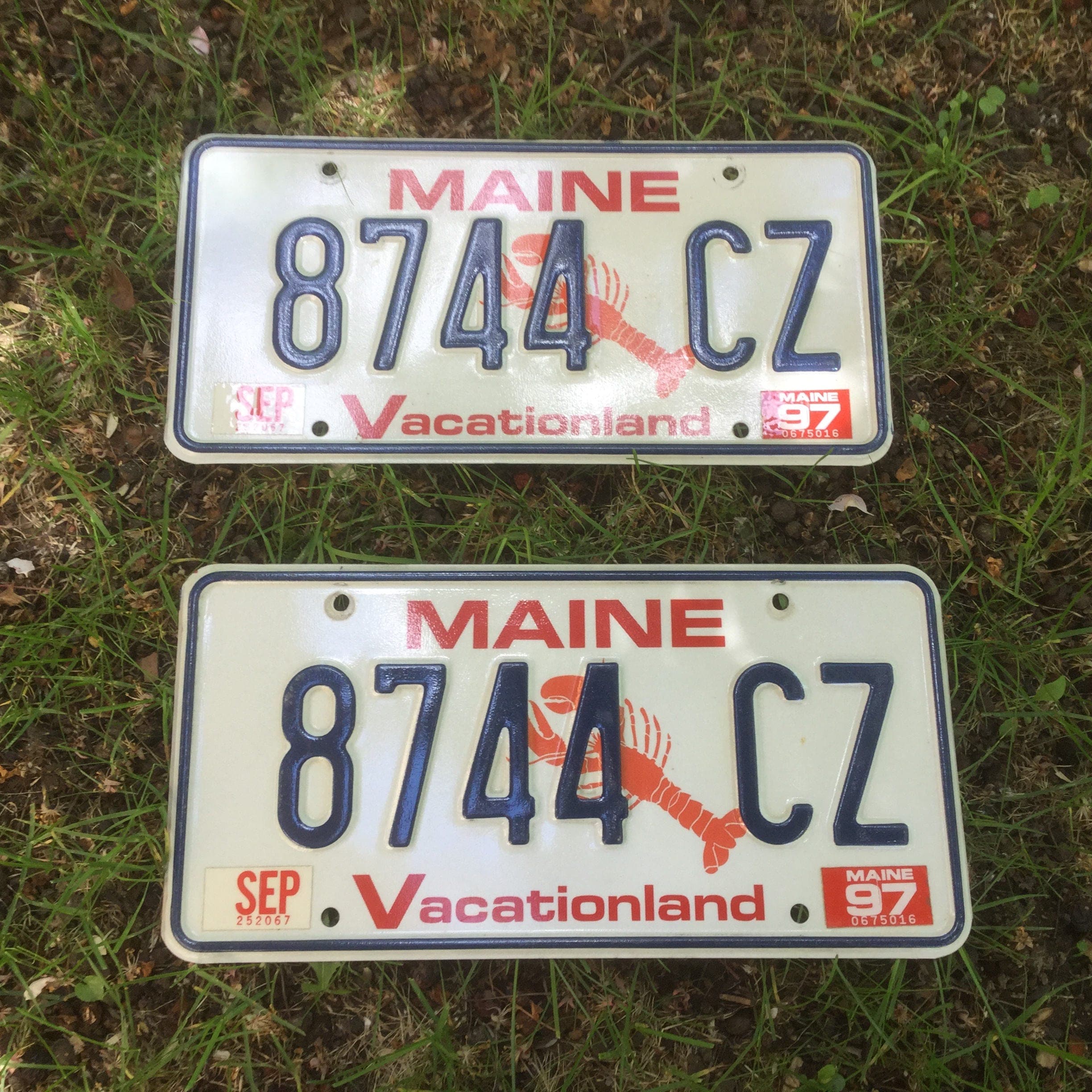 Vintage Maine License Plates 8744 CZ 1990's Lobster Red
