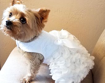 Best 25+ Dog wedding dress ideas on Pinterest | Blush bridesmaid ... Best 25+ Dog wedding dress ideas on Pinterest | Blush bridesmaid ...