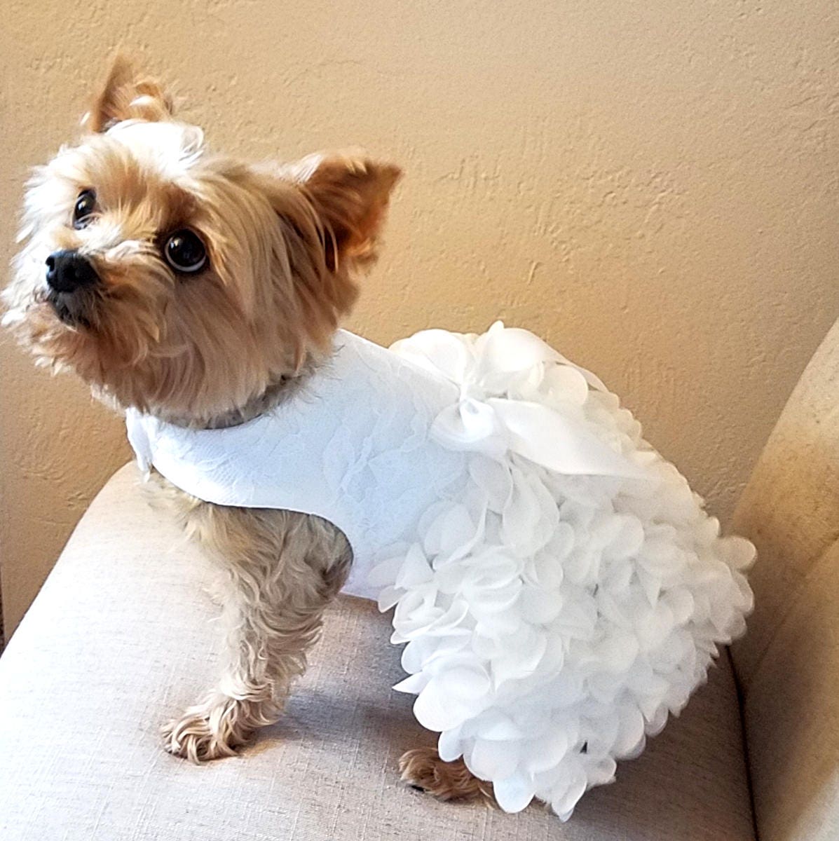 Dog Wedding Dress Dog Dress Dog Clothing Pet Clothing