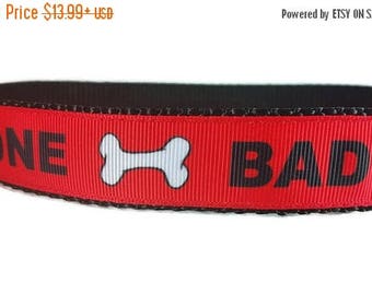 SALE Bad to the Bone Nylon Dog Collar * 1" Width Only * Buckle Collar * Martingale Collar * Chain Martingale