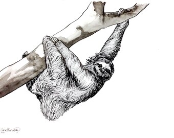 Three Toed Sloth Art Ink Drawing Small Print Artwork Pen and Ink Painting Wall Art Affordable Art for Boys Room Kids Room Freehand Drawing