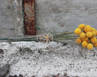 Dried Craspedia flowers, dried billy buttons, dried yellow ball, dried flower arrangement, wedding bouquet, craspedia flowers (10-100 stems)