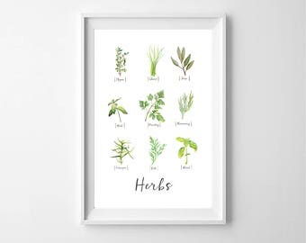 Herb Poster