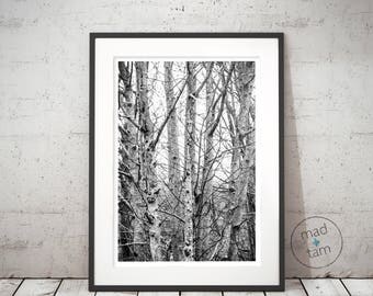 Tree wall art | Etsy