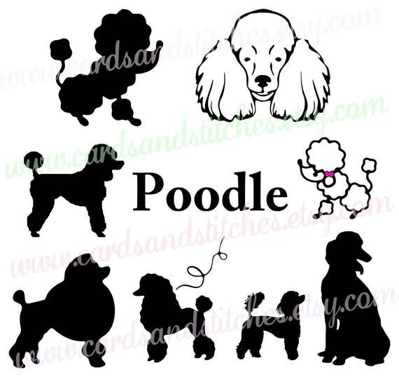 Poodle SVG Poodle Silhouettes Dogs SVG Digital Cutting