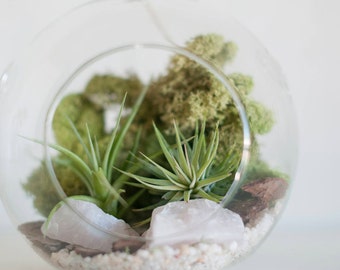 Air Plant Terrarium, Air Plant Terrarium Kit, Hanging Air Plant Terrarium, Bedroom Décor, Dorm Décor, Boho Gift, Mom Gift, Gift for Her