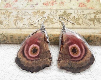 Moth Wing Earrings - Real Moth Wings - Fairy Earrings - Imperial Moth - Sterling SIlver Earrings