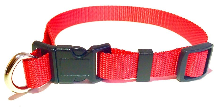 New Safe Cinch Dog Collar Red nylon with d-ring adjustable