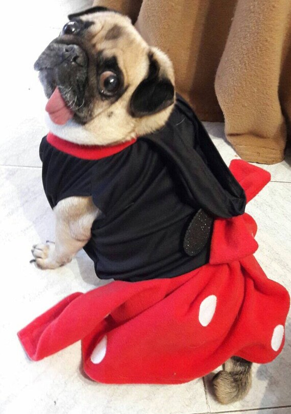 Minnie mouse dog costume minnie mouse costume for dogs