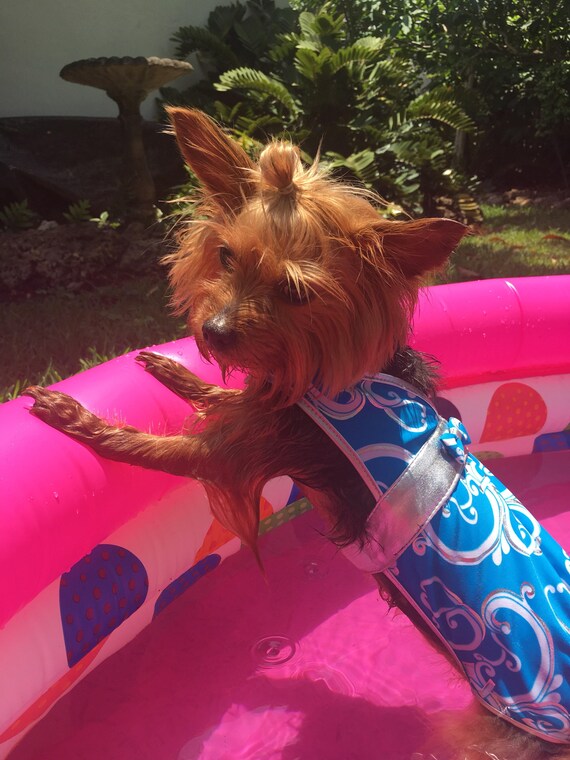 Items similar to Dog bathing suit/ Summer dog clothes/One piece Bathing