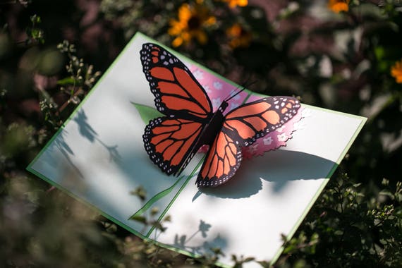 Butterfly Pop Up Card Summer Butterfly Pop Up Card Monarch