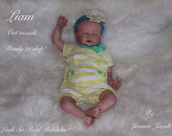 Reborn Baby, Liam 18" weighs 5.1cut mouth , Dewy skin, ready to ship!