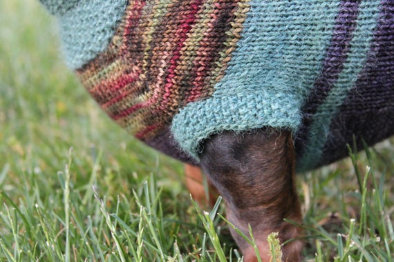 Knitting Pattern Scrap Yarn Cowl Neck Mini Dachshund Dog