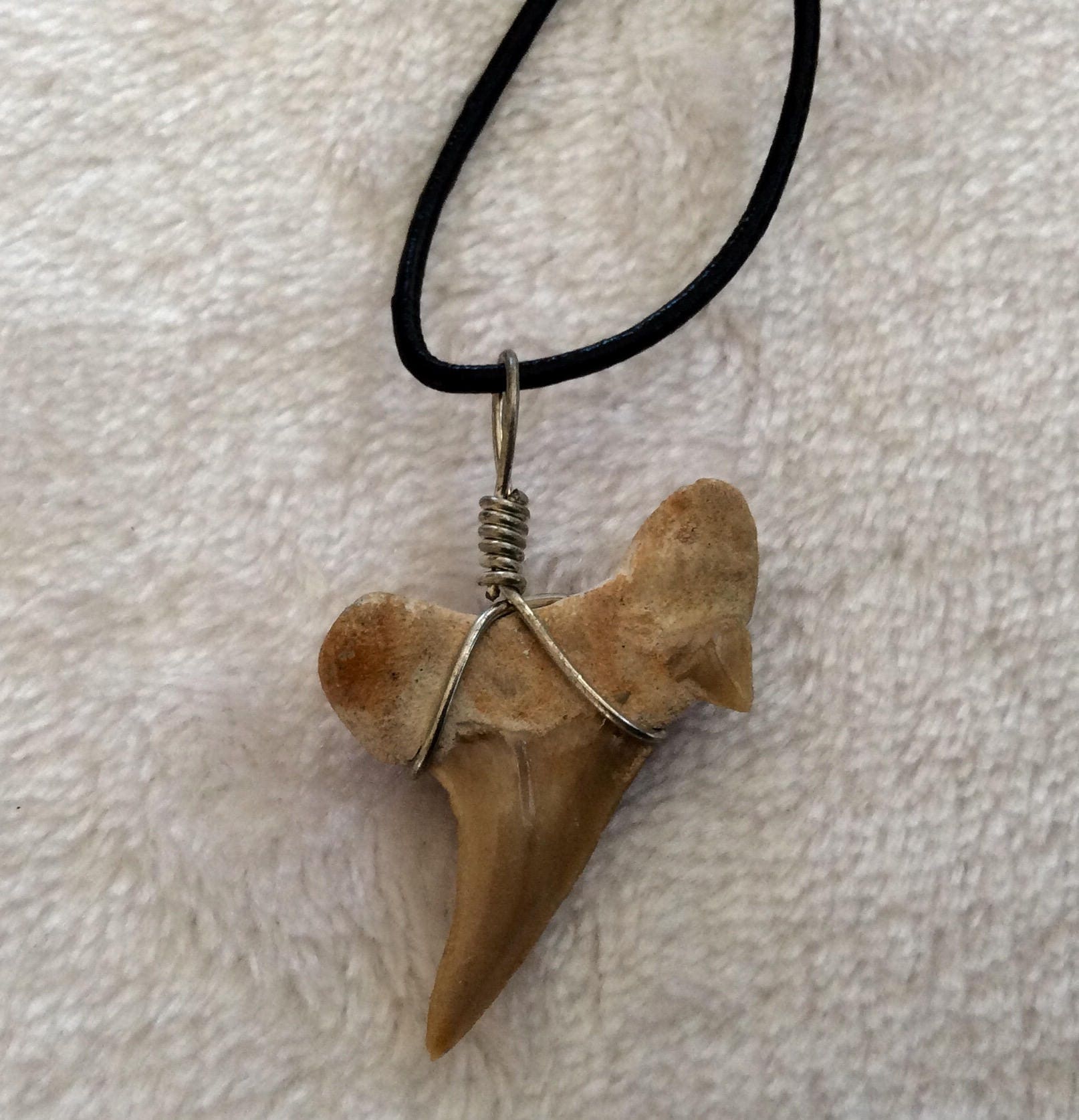 shark tooth necklace wire wrapped shark teeth pendant