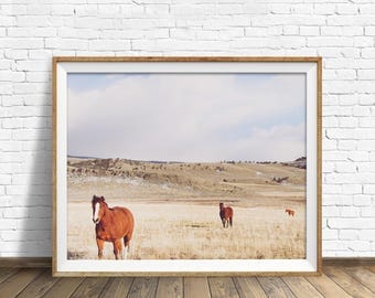 digital photography wall art, instant download printable art, large wall art, large art, landscape photography, horse art - "Pasture Trio"