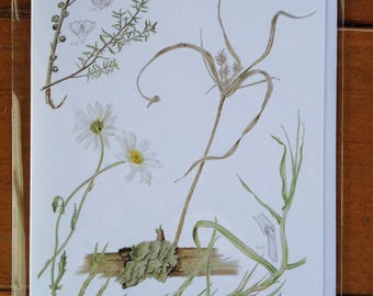 Fine art Card of 'Vegetation on the Verge'