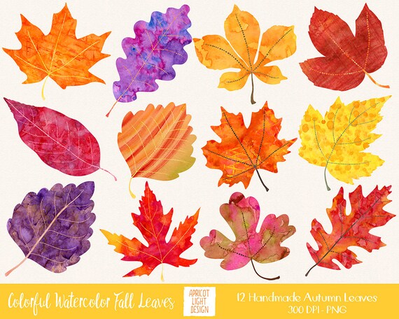 Colorful Watercolor Fall Leaves Clip Art Autumn Leaves