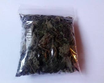 Nettle - witchcraft herbs rituals wiccan pagan wortcnning hegewitch herbalism incense