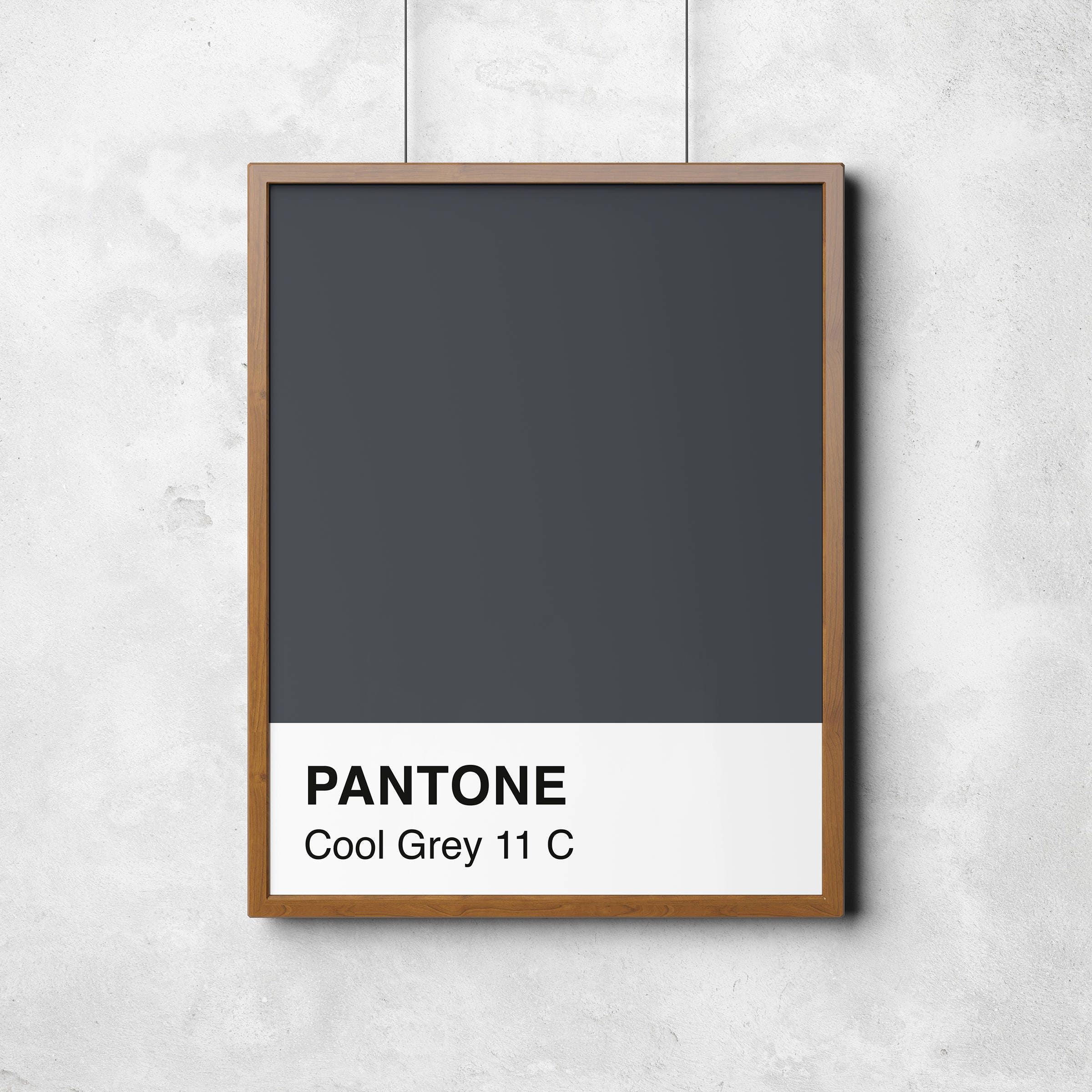 Pantone Cool Grey 11c