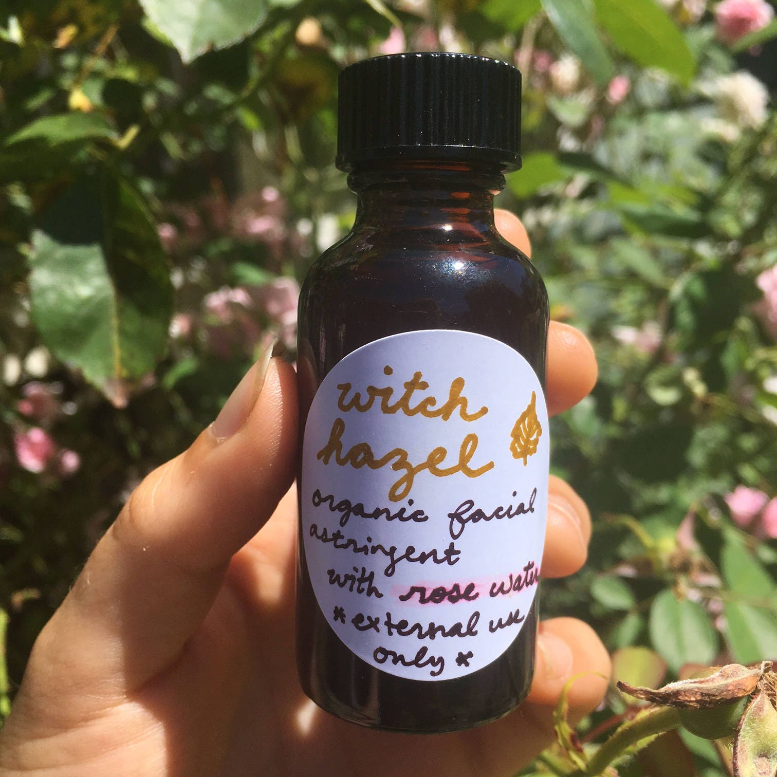 witch hazel for face