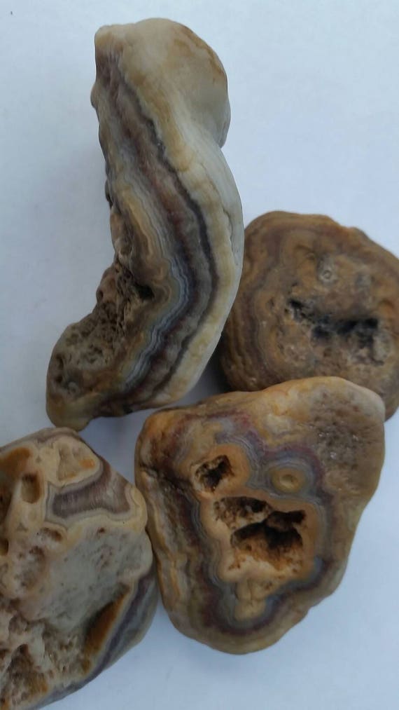 Items similar to Missouri lace agate drusy quartz stone, rocks for sale, vivarium, fairy garden