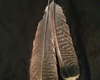 Fluer Again Window Hanger