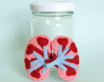 Kidneys in a Jar Felt Anatomical Specimen Anatomy Display Medical Decor